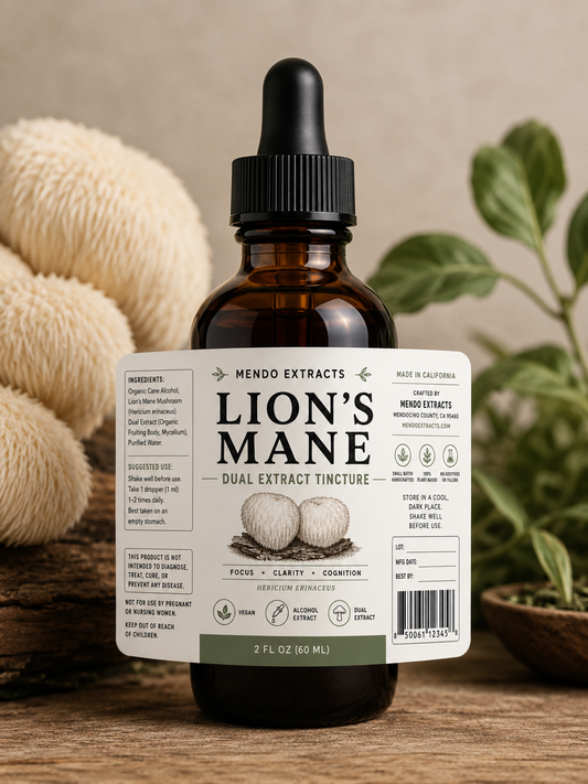Lion’s Mane Tincture 2oz